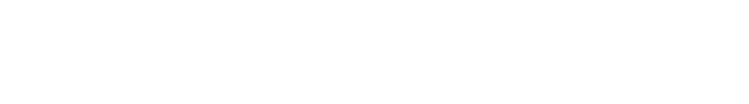 Dixell Asia Logo
